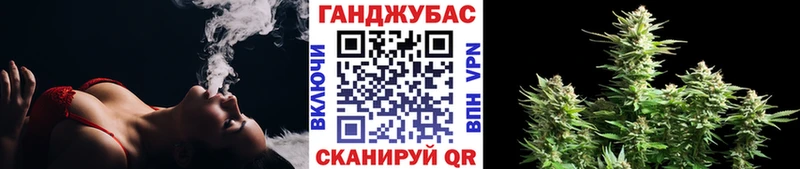 Купить  Баймак  Канабис VHQ 